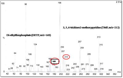 Bioremediation Potential of Plant-Bacterial Consortia for Chlorpyrifos Removal Using Constructed Wetland